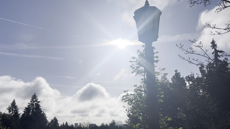 Washington Park 3