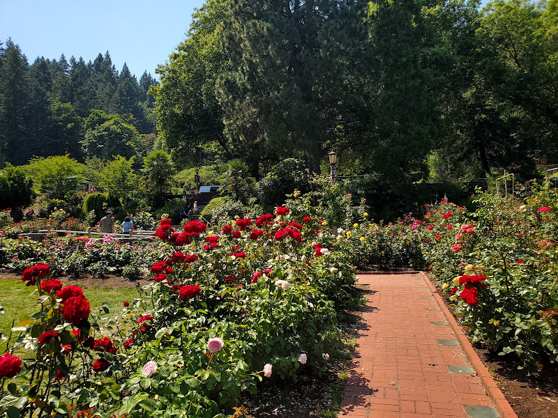 Washington Park 4