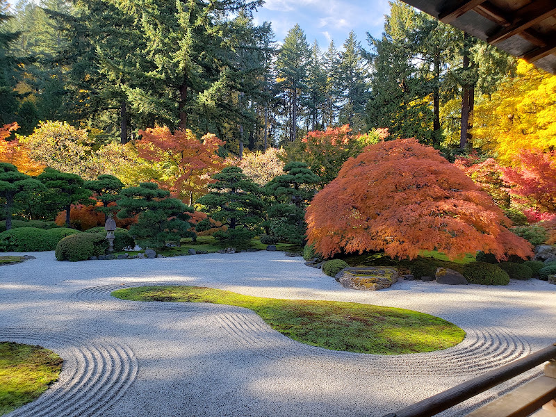 Washington Park 5