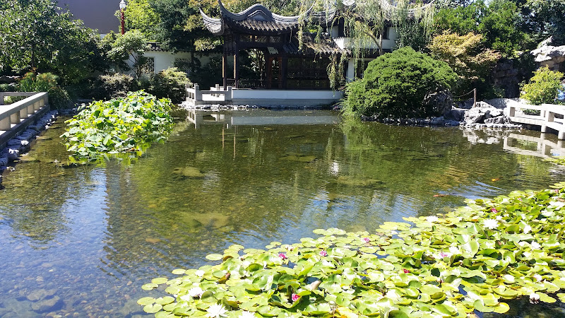Lan Su Chinese Garden 5