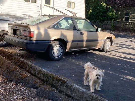 Vo's Auto Repair Inc. 5