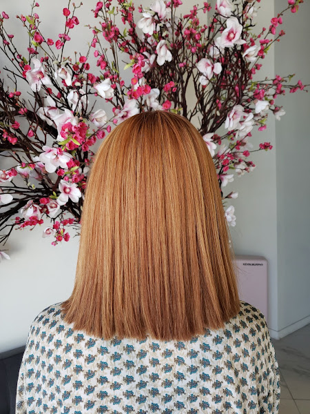 Bouffant Beauty Bar 2