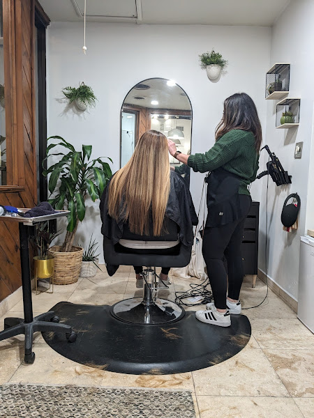 Salon Celeste 4