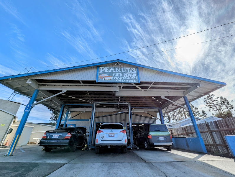 Peanuts Auto Repair 1