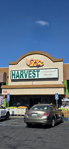 Harvest International Market
