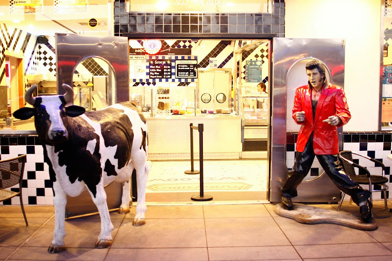 MooTime Creamery 1