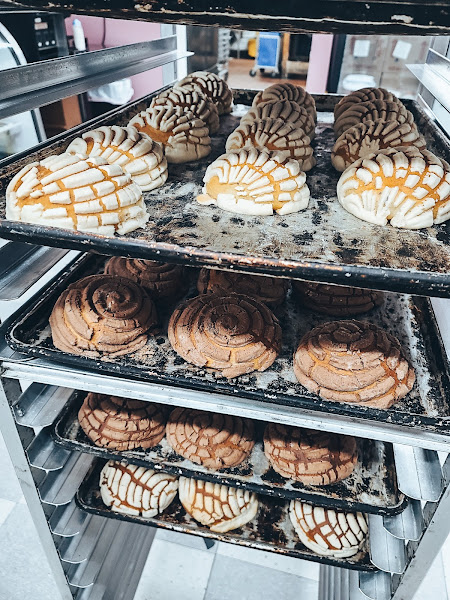 Sammy's Mexican Bakery 4