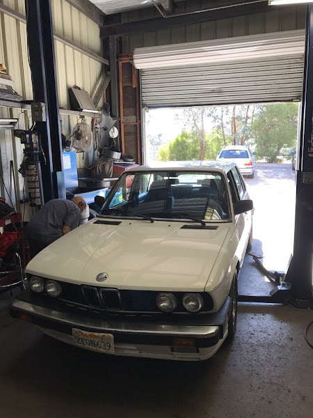 Little Car Shop 2