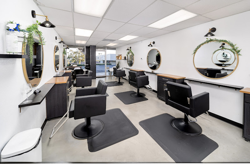 TM Salon 2