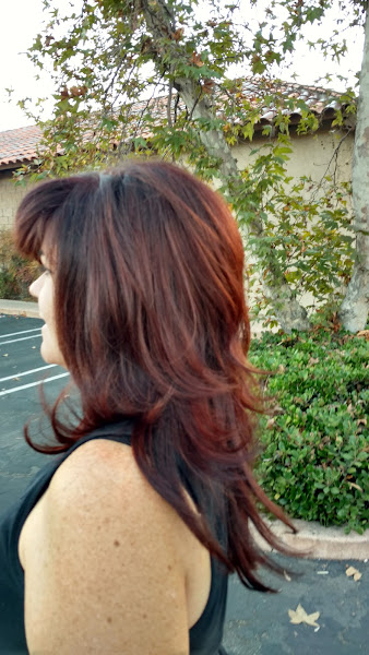 Hair It Is Etc 2
