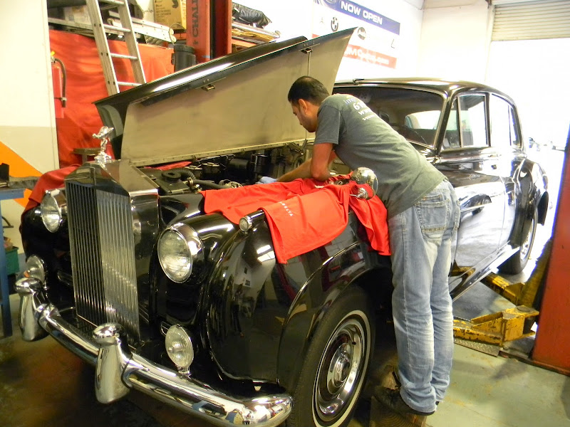 Imported Motor Cars 1
