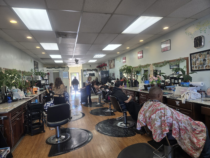 Poway Fashion Hair 2