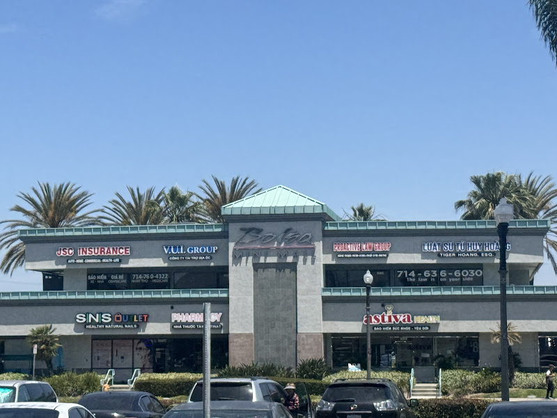 Little Saigon Center 2
