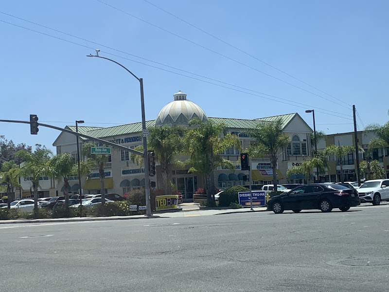 Bolsa Dental 2