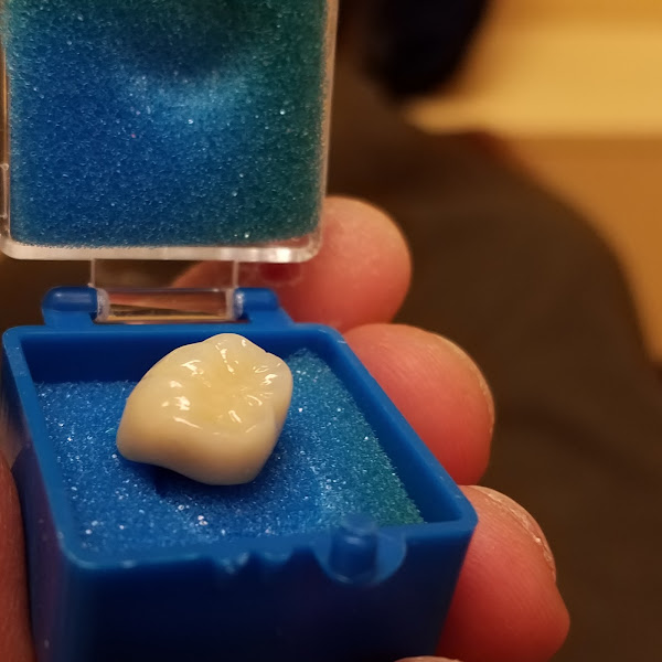 Ace Dental 1
