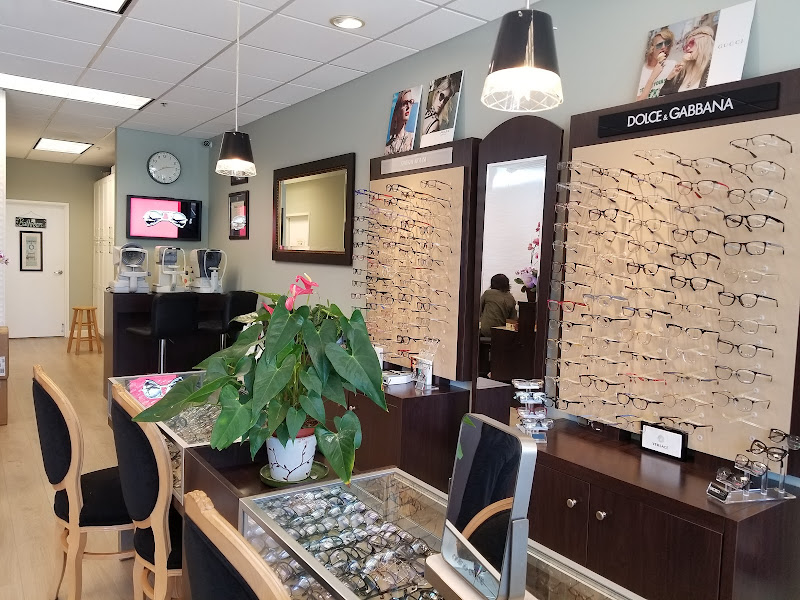 LT Optometry 2