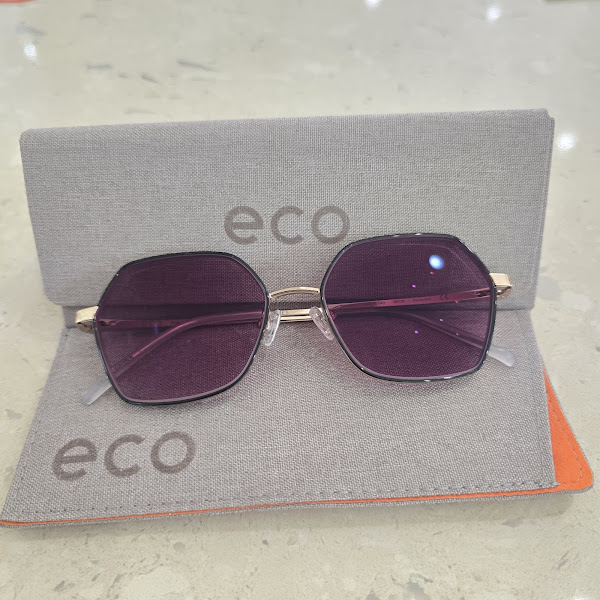 Olive Optometry 4