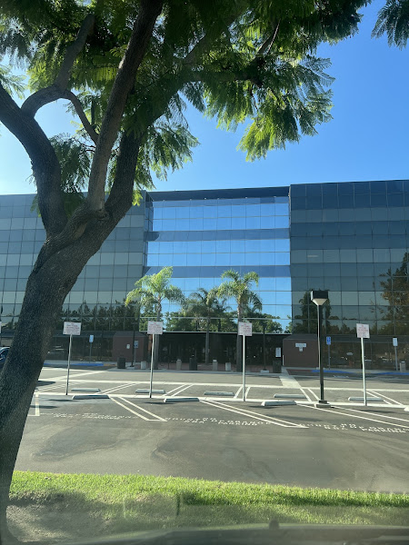 TDL International Law Firm, APLC 4