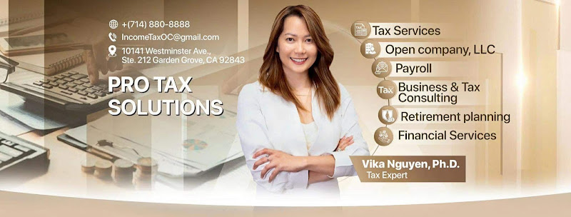 Pro Tax Solutions 1