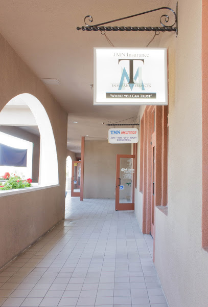 TMN Insurance Services Inc 5