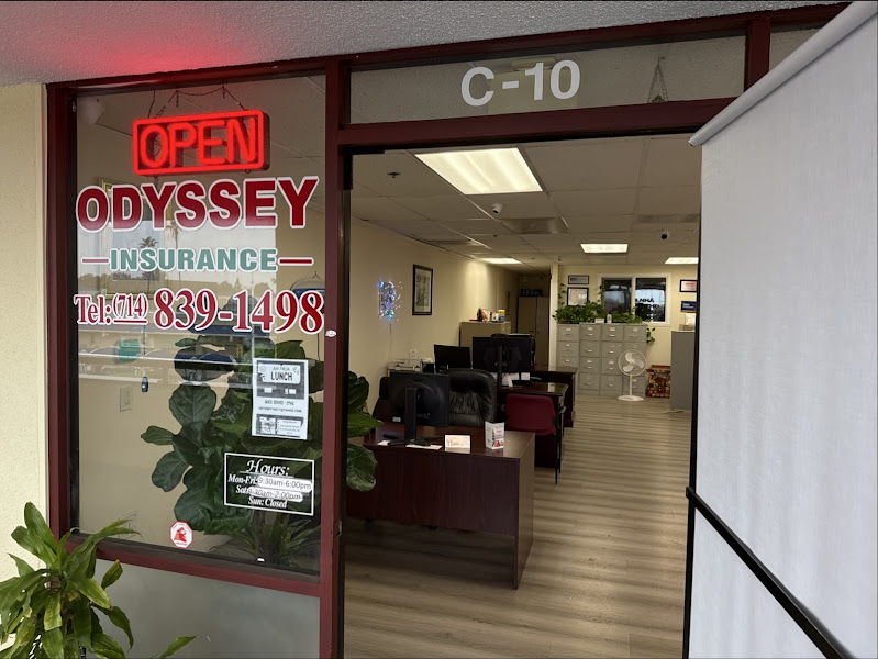 Odyssey Insurance 3