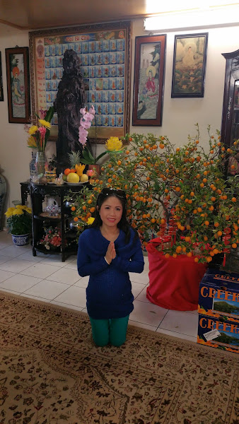 Little Saigon Real Estate 4