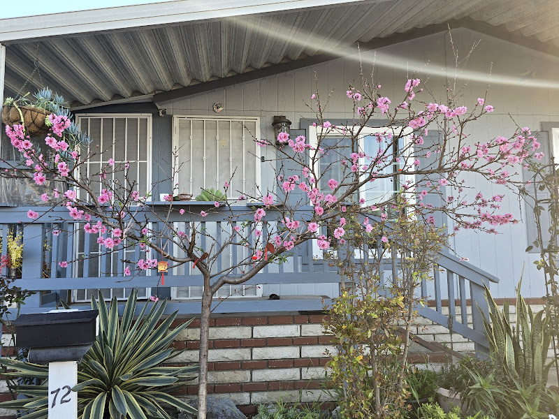 Mission Del Amo Mobile Home 3