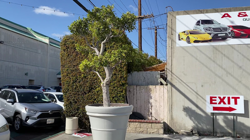 A&D Auto Center 2