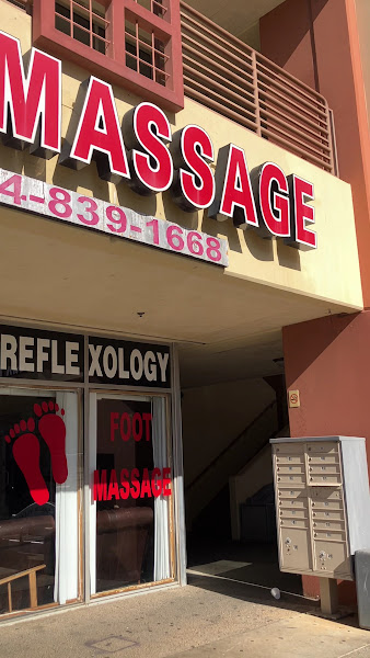 Palm Tree Foot Massage - Westminster 2