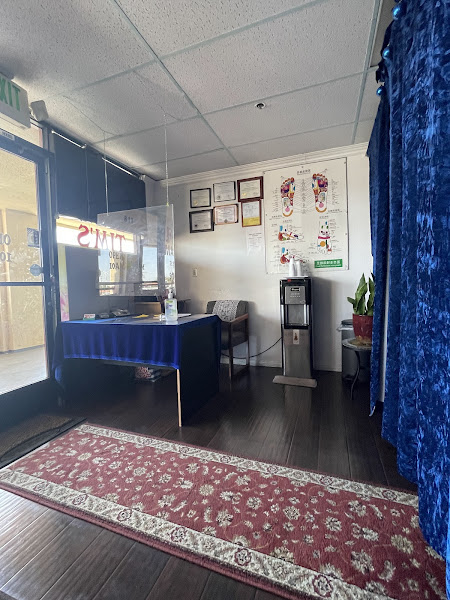 Pro Reflexology 2