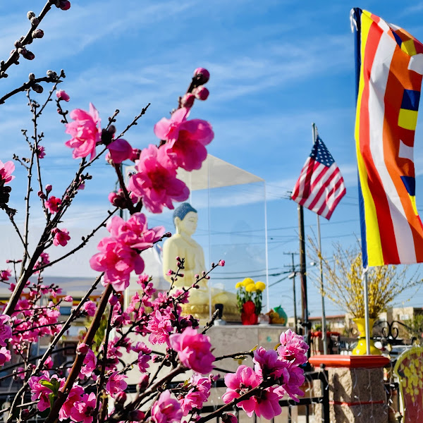 Westminster Buddhist Temple 3