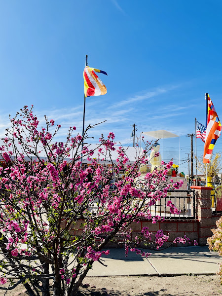Westminster Buddhist Temple 5