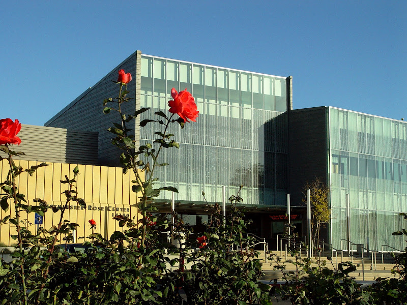 Rose Center Theater 3
