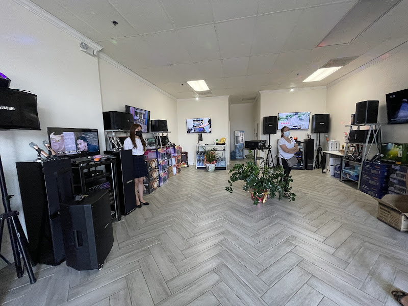 Karaoke System 3