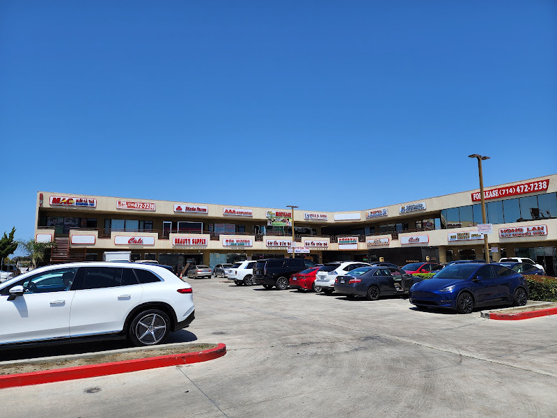 Bolsa Plaza 4
