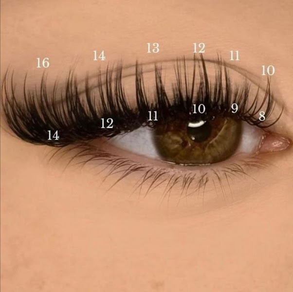 Milash & Brows 2