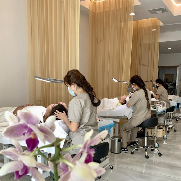 Advance Training MicroBlading . Founder Maggie Q