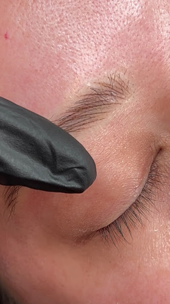 Mink Brow 2