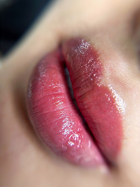 Serendripity Studios Orange County Lip Blush & Ombré Powder Brows 3