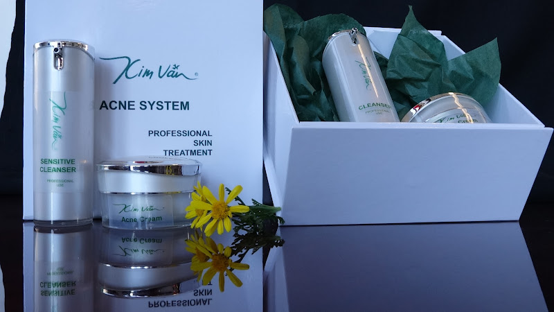 KIM VAN AESTHETICS, INC 3