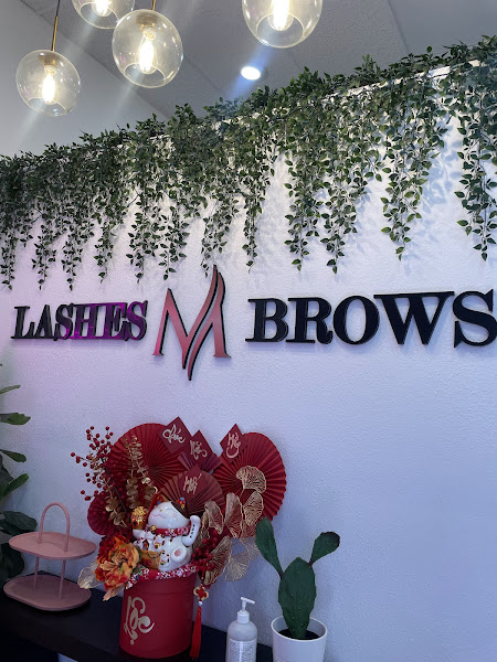 Lashes M Brows 3