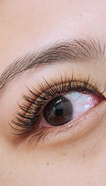 GO LASHES & BROW 2