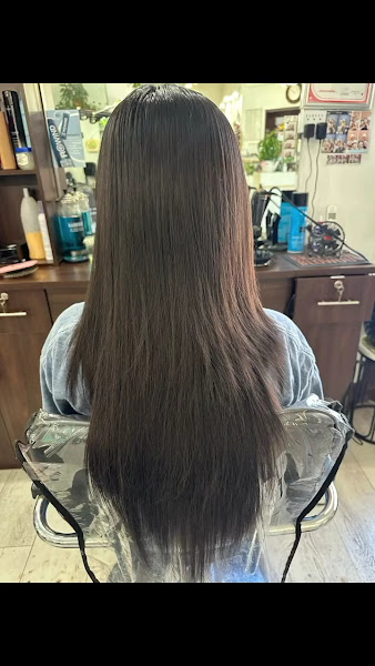 Salon by Spring