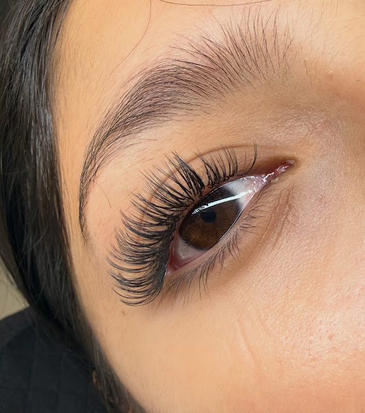 The Lash Lab Los Alamitos 3
