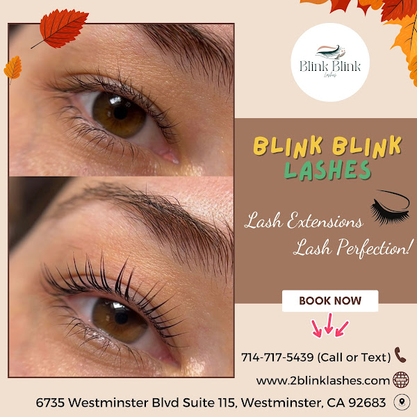 Blink Blink Lashes 3