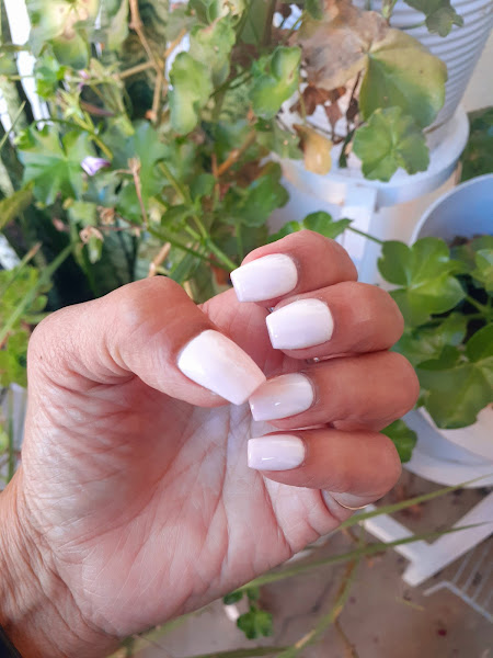 Bliss Beauty Bar 2