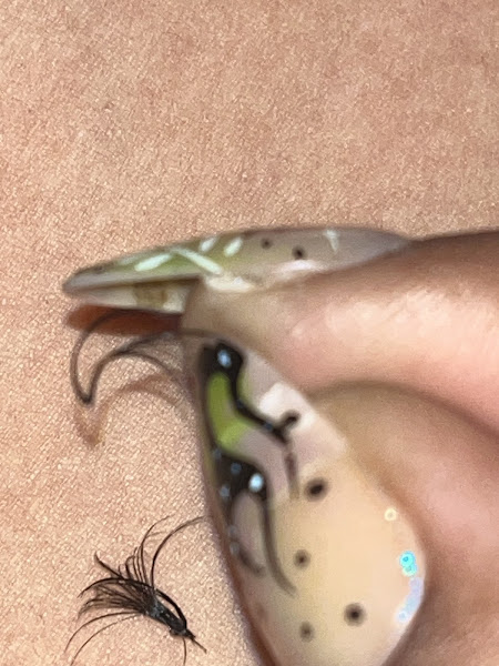KN lashes 4