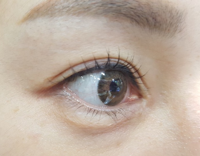 Jeanly Brow l semi-permanent make up l eyebrow microblading l eyeliner l smp l lip blush l eyelash perm l brow waxing 3