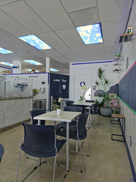 Lunar Star Tea Bar 4