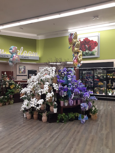 Vons 4